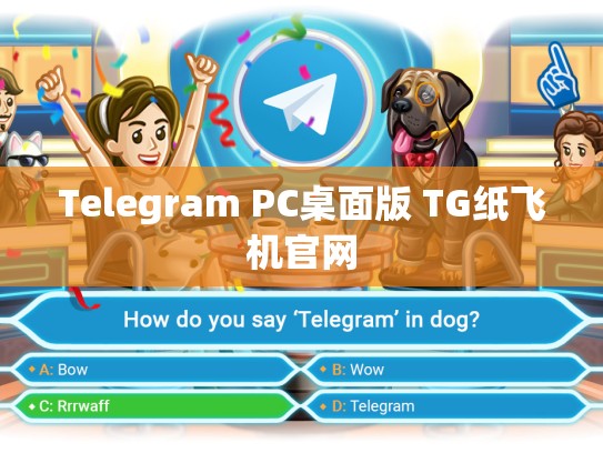 Telegram PC桌面版 TG纸飞机官网