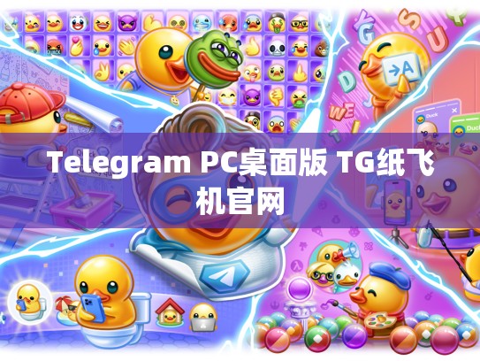 Telegram PC桌面版 TG纸飞机官网