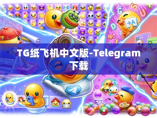 TG纸飞机中文版-Telegram下载