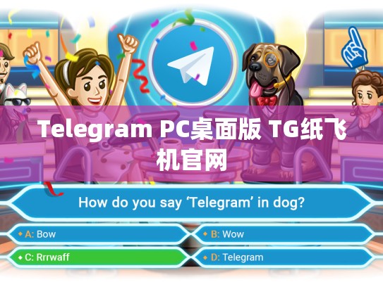 Telegram PC桌面版 TG纸飞机官网