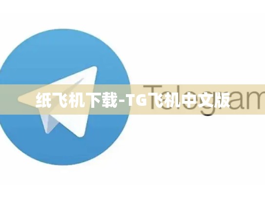 纸飞机下载-TG飞机中文版