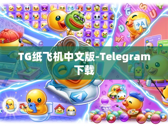 TG纸飞机中文版-Telegram下载