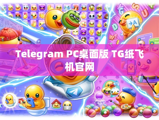 Telegram PC桌面版 TG纸飞机官网