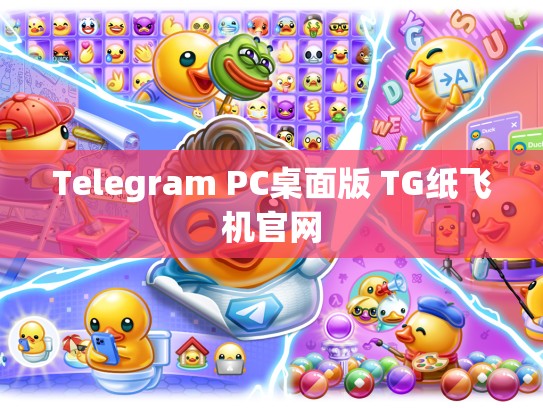 Telegram PC桌面版 TG纸飞机官网
