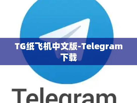 TG纸飞机中文版-Telegram下载