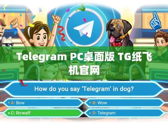 Telegram PC桌面版 TG纸飞机官网