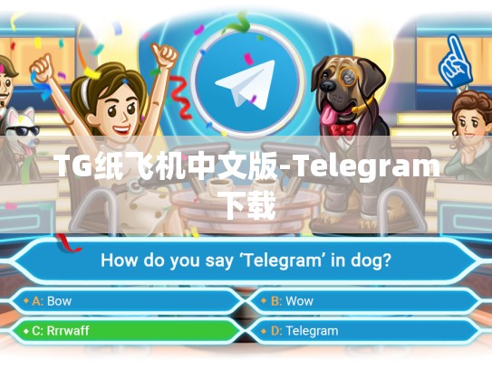 TG纸飞机中文版-Telegram下载