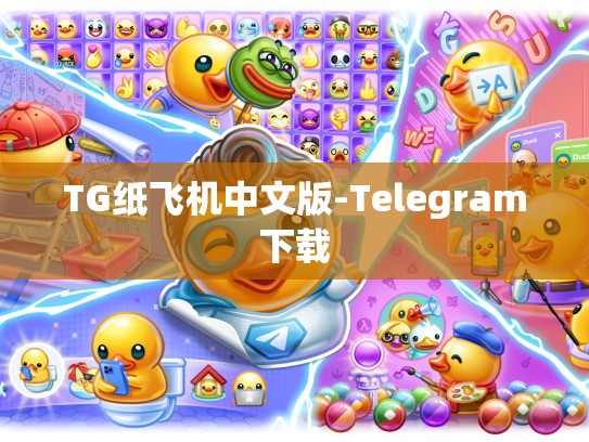 TG纸飞机中文版-Telegram下载