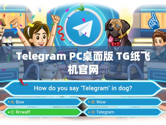 Telegram PC桌面版 TG纸飞机官网