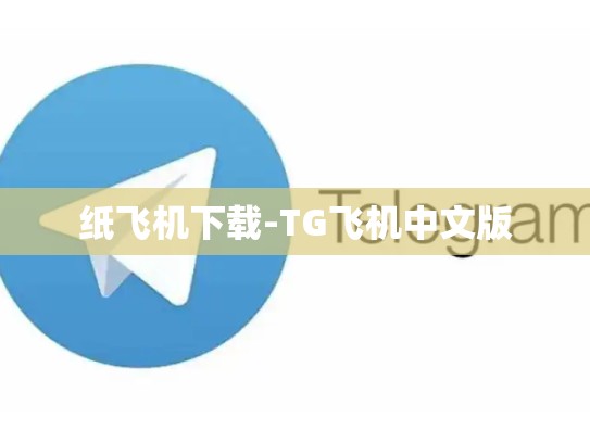 纸飞机下载-TG飞机中文版