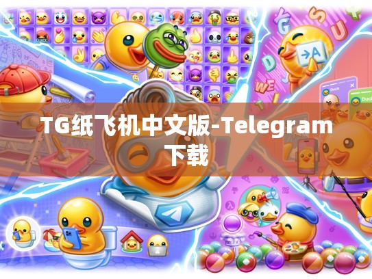 TG纸飞机中文版-Telegram下载