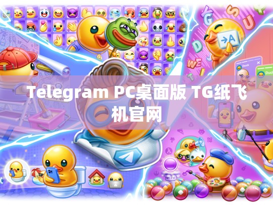 Telegram PC桌面版 TG纸飞机官网