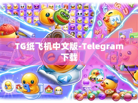 TG纸飞机中文版-Telegram下载