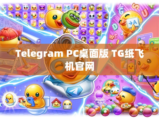 Telegram PC桌面版 TG纸飞机官网