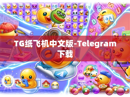 TG纸飞机中文版-Telegram下载
