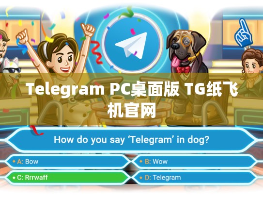Telegram PC桌面版 TG纸飞机官网