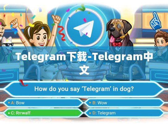 Telegram下载-Telegram中文