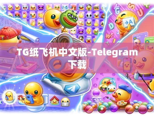 TG纸飞机中文版-Telegram下载