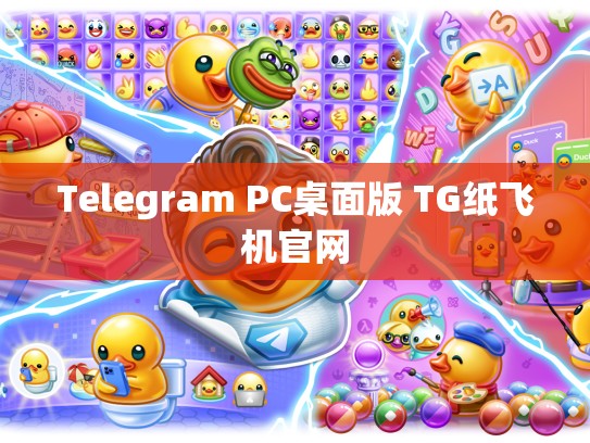 Telegram PC桌面版 TG纸飞机官网