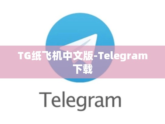 TG纸飞机中文版-Telegram下载