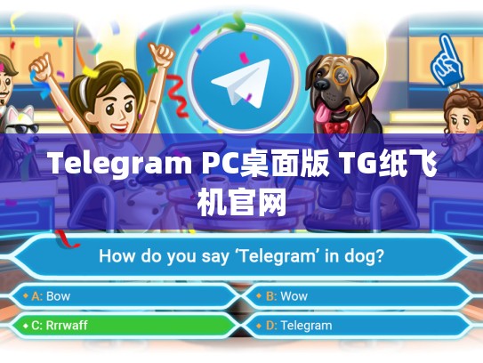 Telegram PC桌面版 TG纸飞机官网