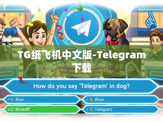 TG纸飞机中文版-Telegram下载