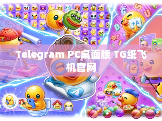 Telegram PC桌面版 TG纸飞机官网