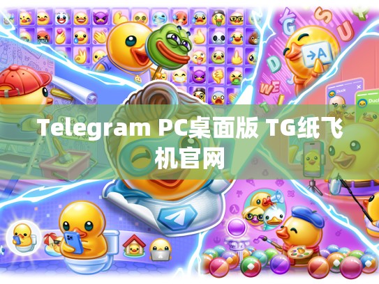Telegram PC桌面版 TG纸飞机官网