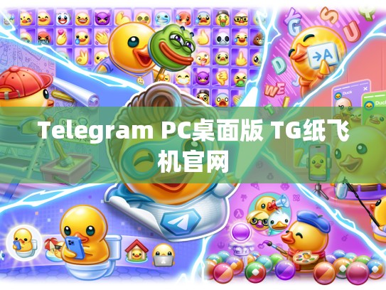 Telegram PC桌面版 TG纸飞机官网