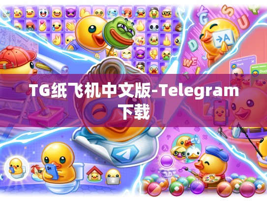 TG纸飞机中文版-Telegram下载