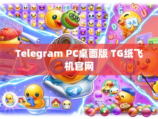 Telegram PC桌面版 TG纸飞机官网