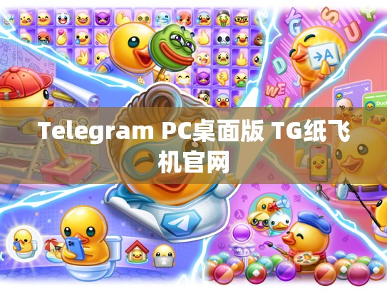 Telegram PC桌面版 TG纸飞机官网