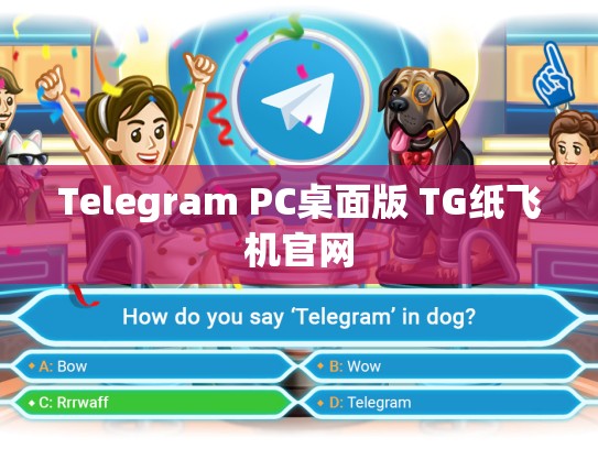 Telegram PC桌面版 TG纸飞机官网