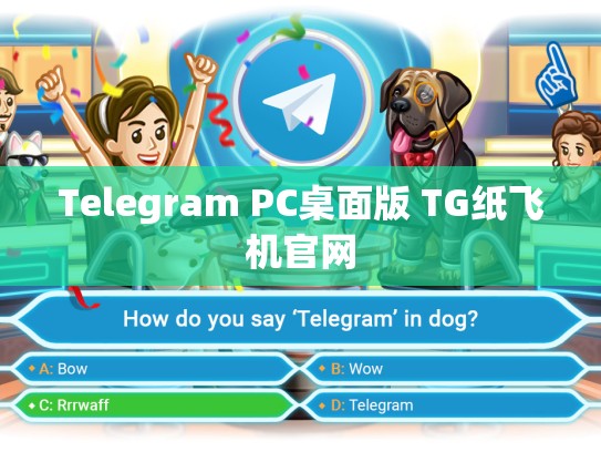 Telegram PC桌面版 TG纸飞机官网