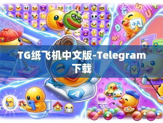 TG纸飞机中文版-Telegram下载