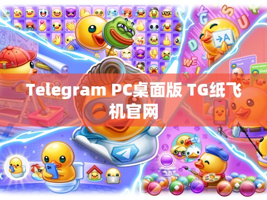 Telegram PC桌面版 TG纸飞机官网