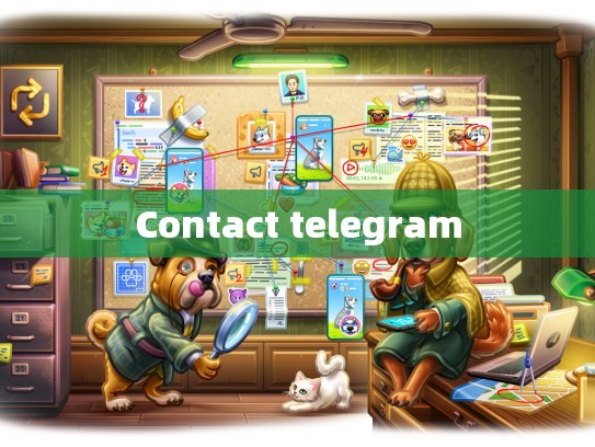 Contact telegram