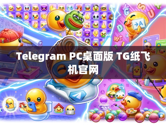 Telegram PC桌面版 TG纸飞机官网