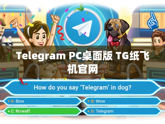 Telegram PC桌面版 TG纸飞机官网