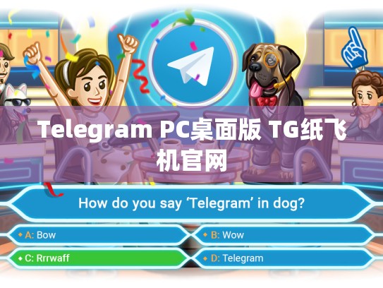 Telegram PC桌面版 TG纸飞机官网