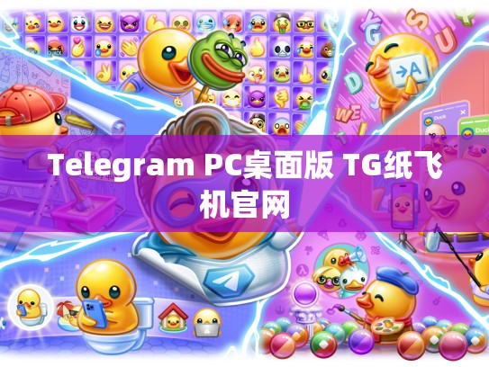 Telegram PC桌面版 TG纸飞机官网