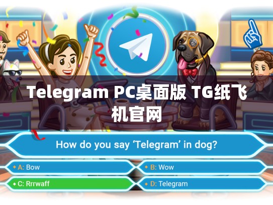 Telegram PC桌面版 TG纸飞机官网