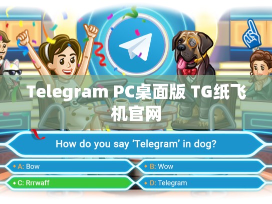 Telegram PC桌面版 TG纸飞机官网