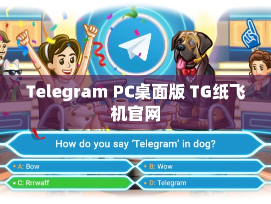 Telegram PC桌面版 TG纸飞机官网