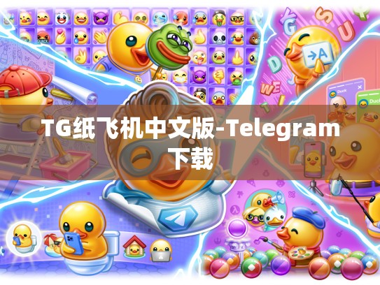 TG纸飞机中文版-Telegram下载