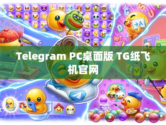 Telegram PC桌面版 TG纸飞机官网