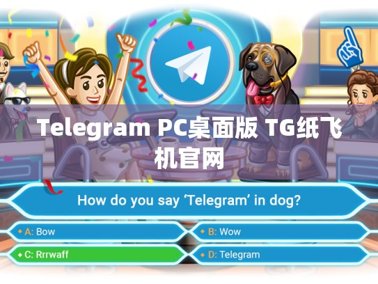 Telegram PC桌面版 TG纸飞机官网