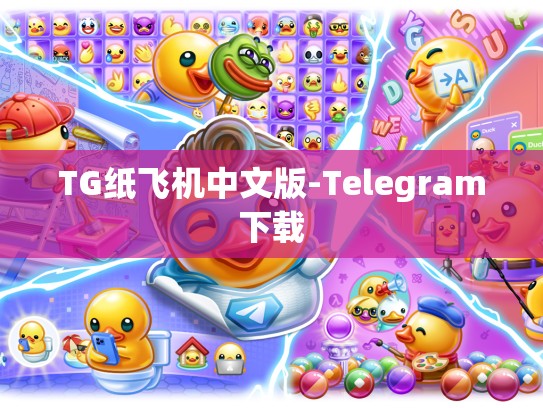 TG纸飞机中文版-Telegram下载