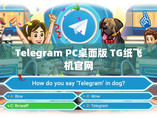 Telegram PC桌面版 TG纸飞机官网