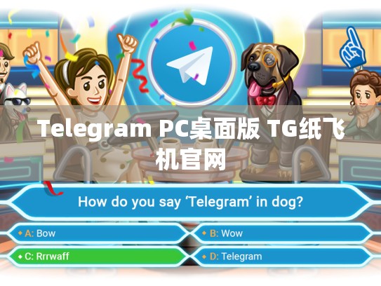 Telegram PC桌面版 TG纸飞机官网